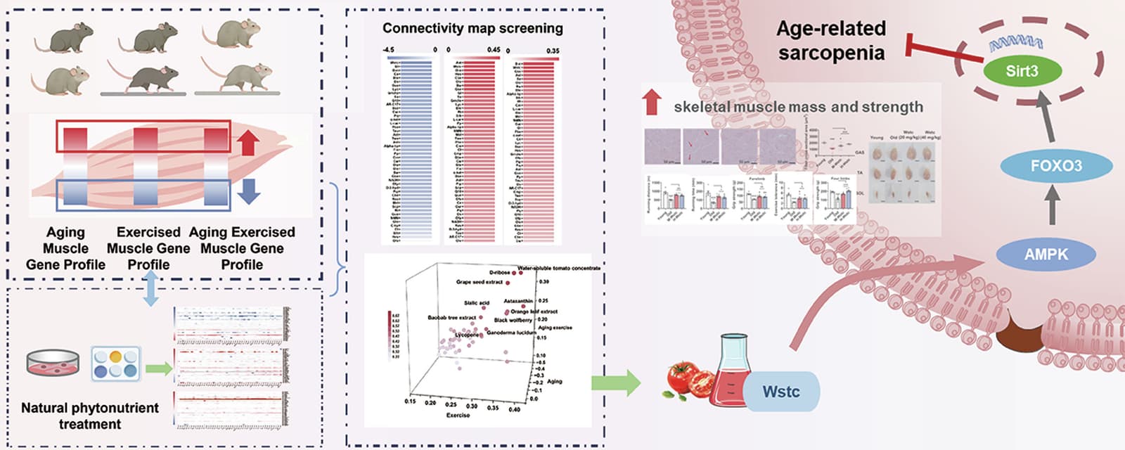Graphical abstract from Food Research International