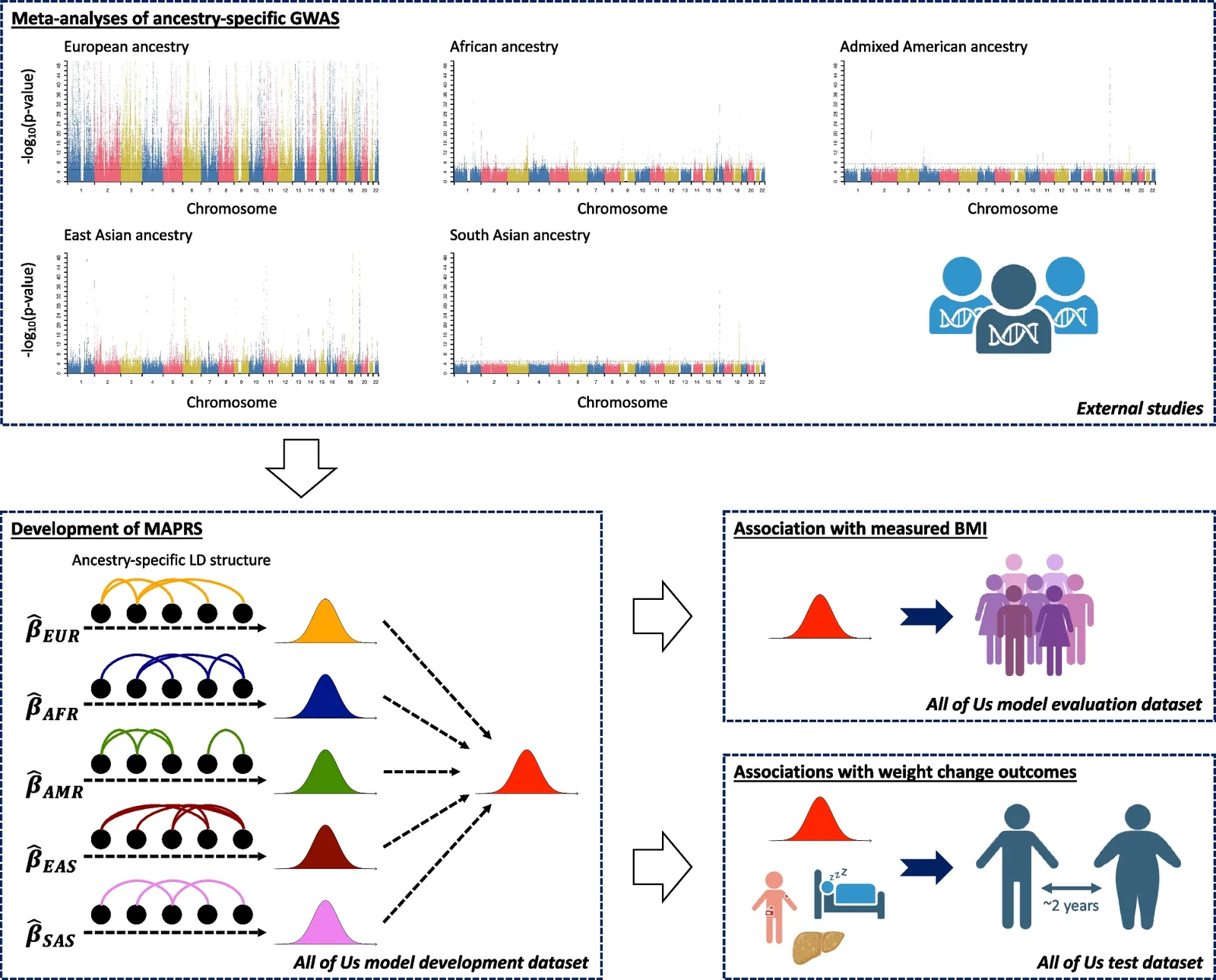 Fig. 1. Overview of study design.