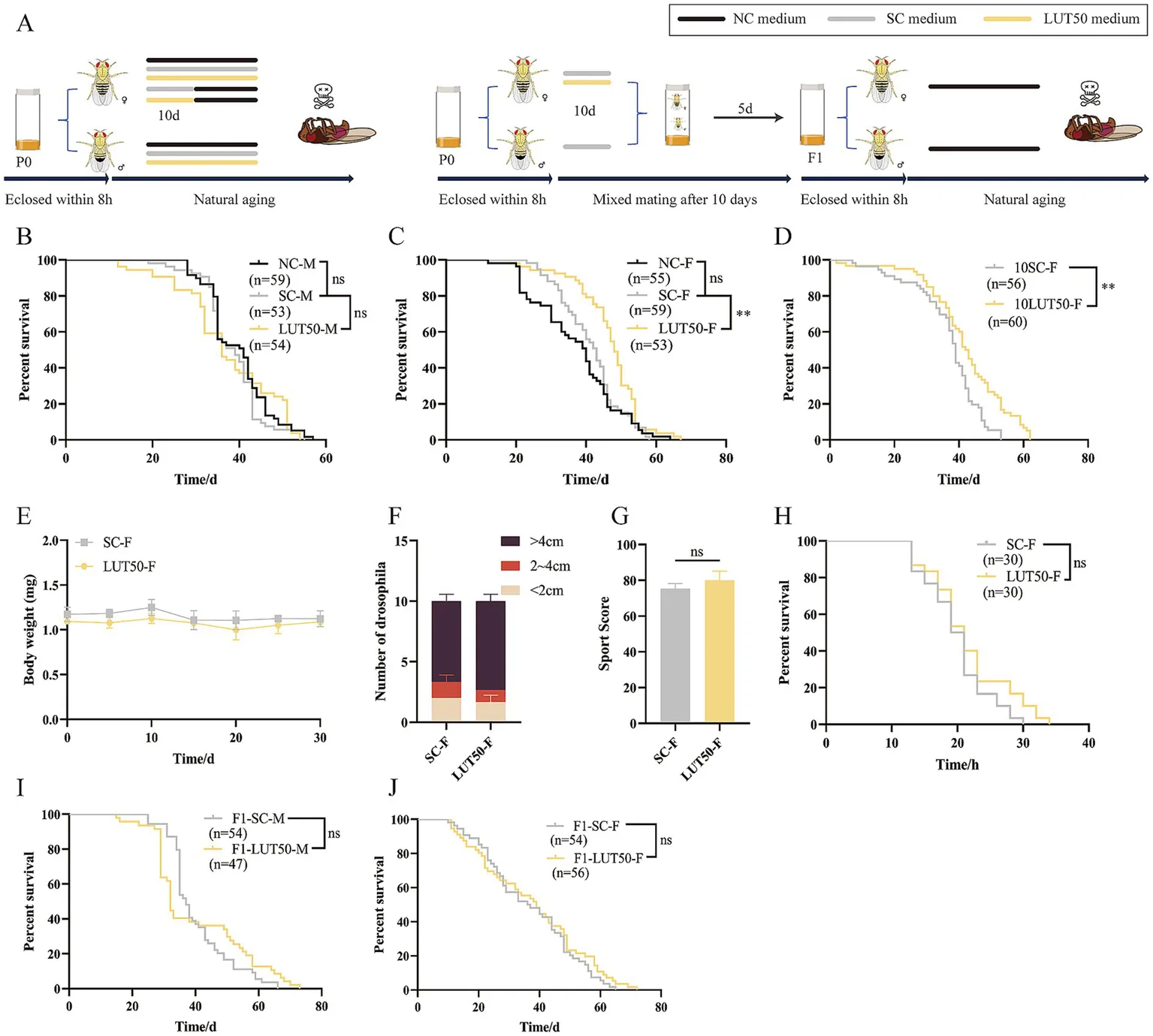 Figure 1. Effects of luteolin intervention during adulthood on lifespan and health in D. melanogaster under natural aging.