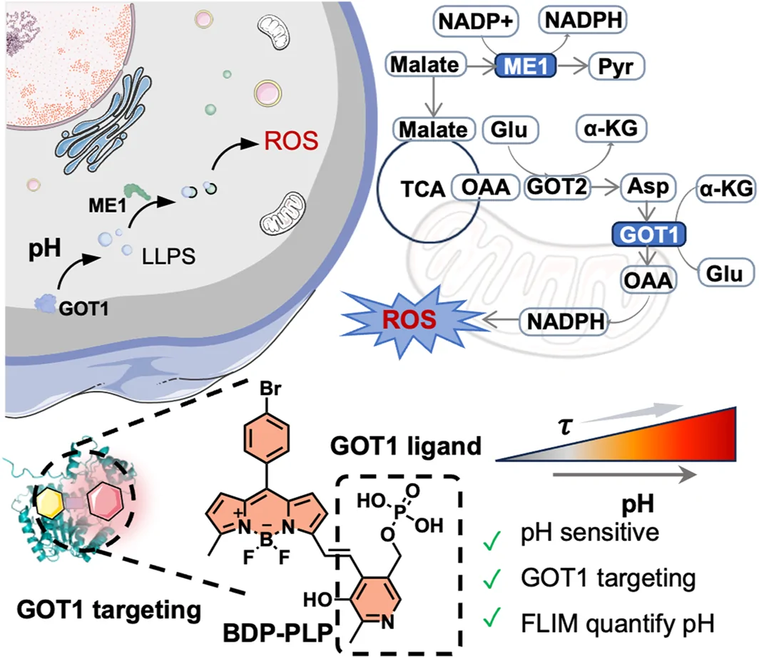 Graphical abstract from Smart Molecules