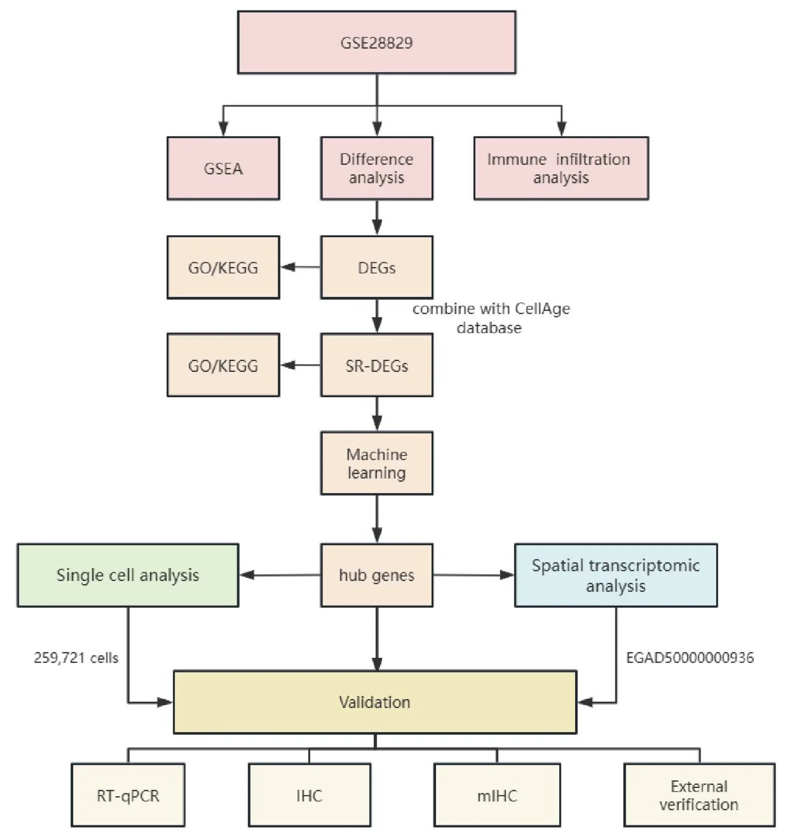 Figure 1. Illustration of the data analysis workflow and experiment procedure.