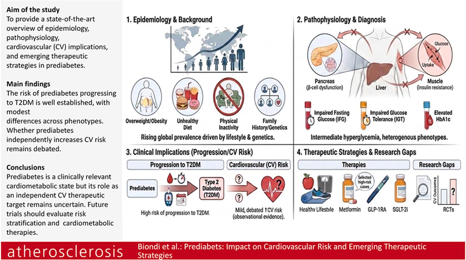 Graphical abstract from Atherosclerosis