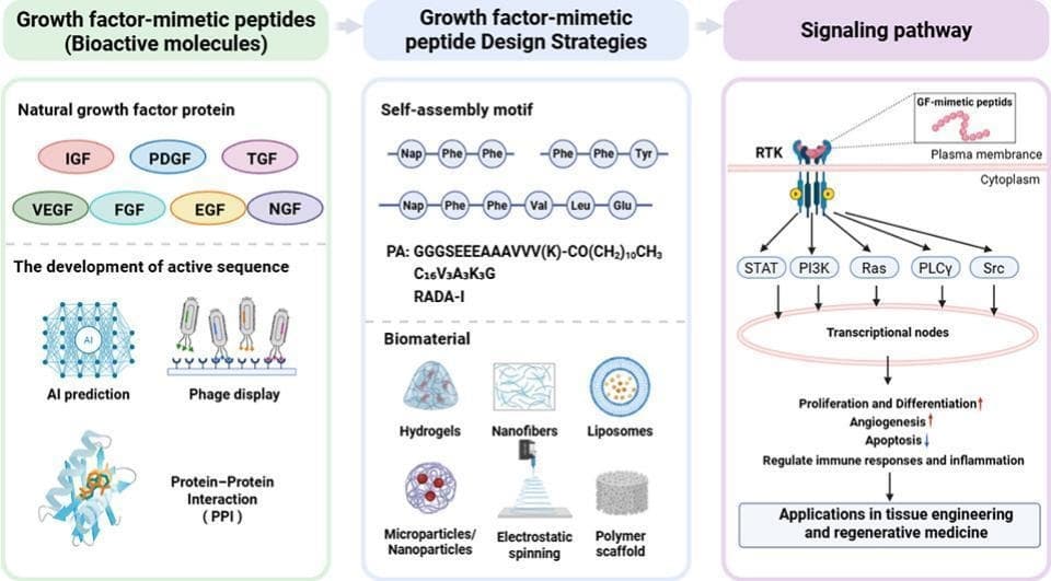 Graphical abstract from Journal of Controlled Release