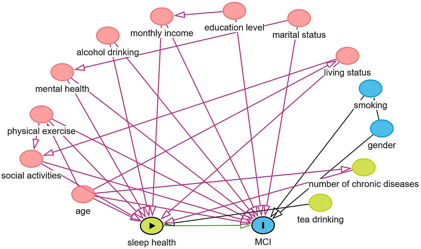 Figure 1. Directed acyclic graph of the association between sleep health and mild cognitive impairment.