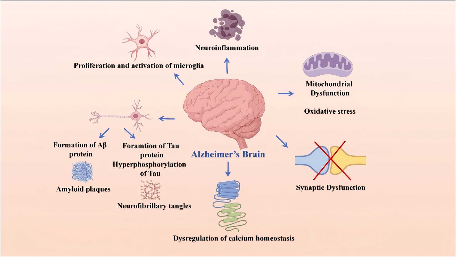 Figure 1 from Ageing Research Reviews