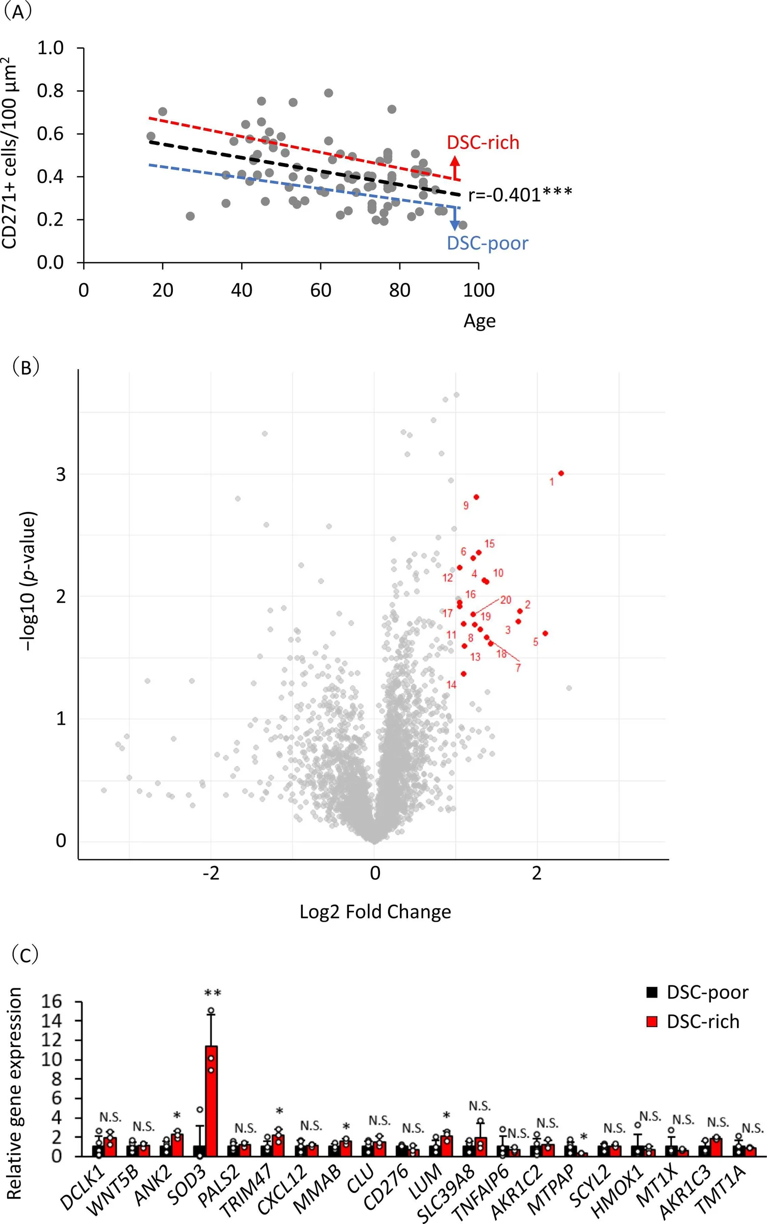 Figure 1 from Journal of Dermatological Science