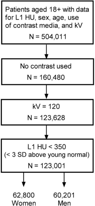 Figure 1 from Osteoporosis International