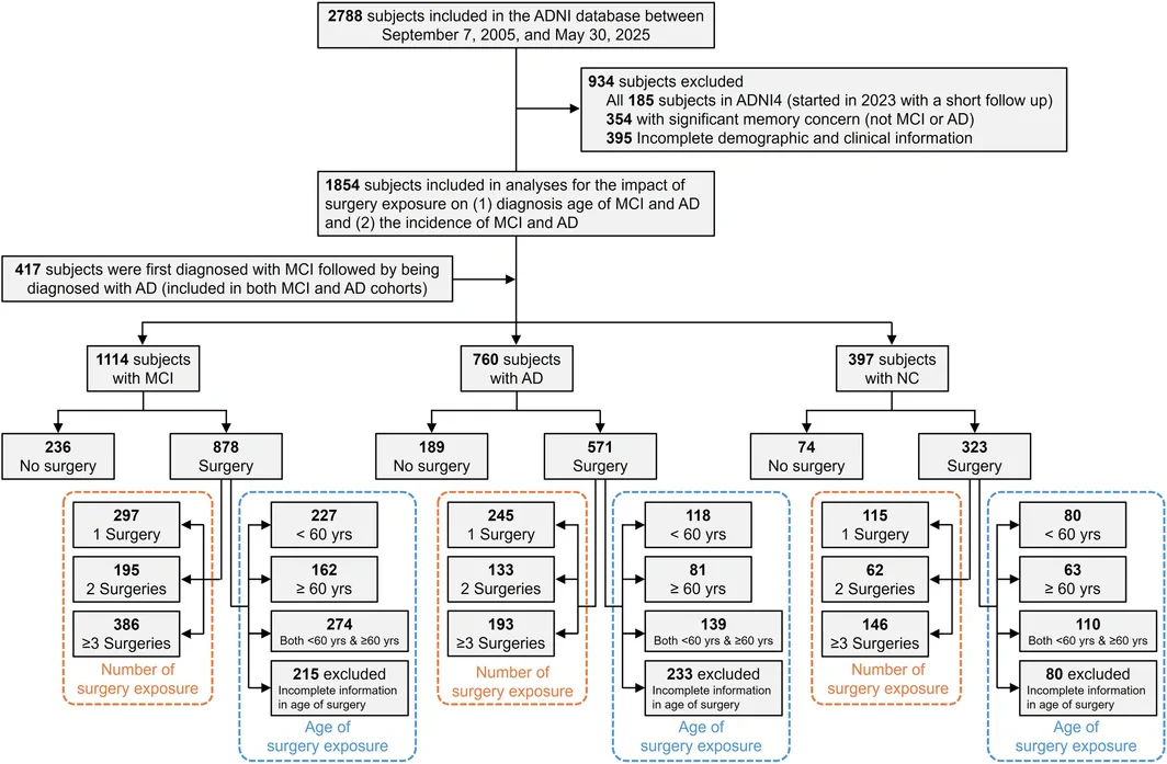 Figure 1. Flow diagram of study participants.