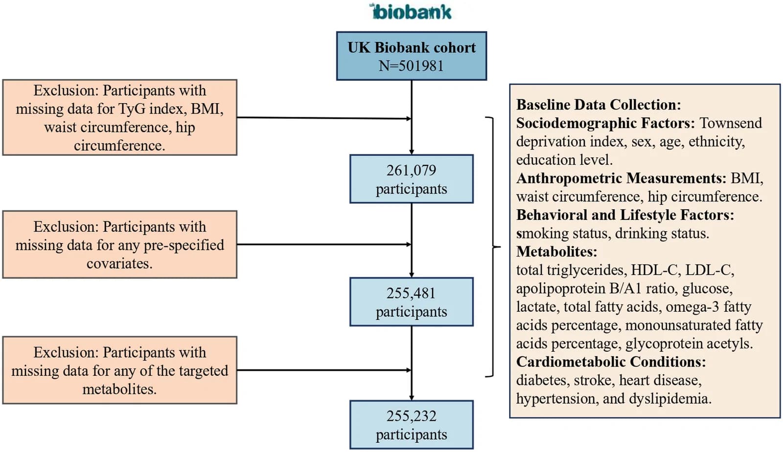Flow chart of participant selection and baseline data collection.