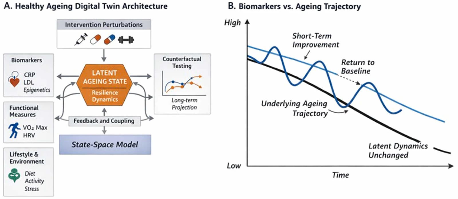 Figure 1 from Ageing Research Reviews
