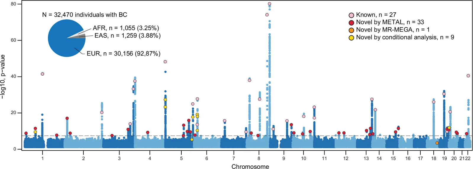 Fig. 1. Manhattan plot for BC risk loci detected by multi-population GWAS meta-analysis in individuals with BC (n = 32,470) and without BC (n = 1,753,462).