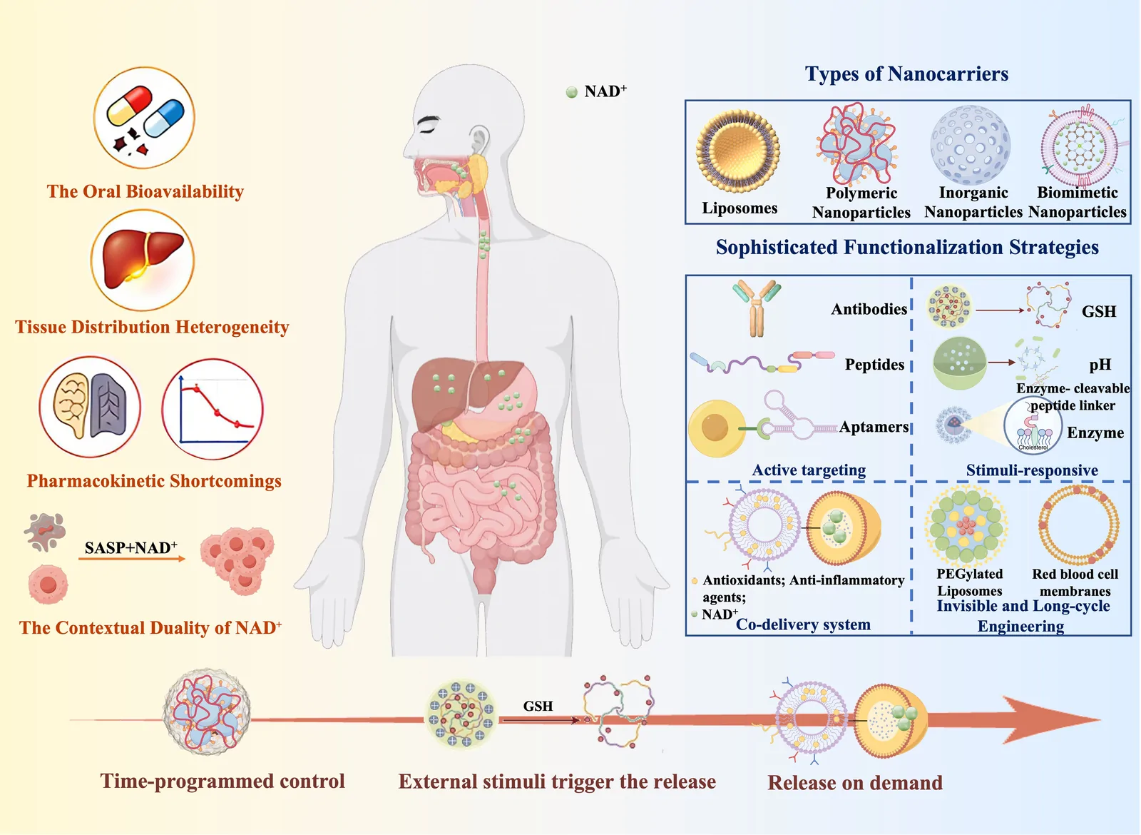 Figure 1. Schematic paradigm shift from conventional hurdles to precision nanomedicine in NAD⁺ therapeutics.