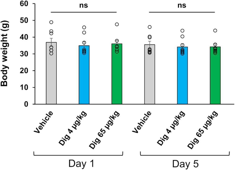 Figure 1 from Neurochemical Research