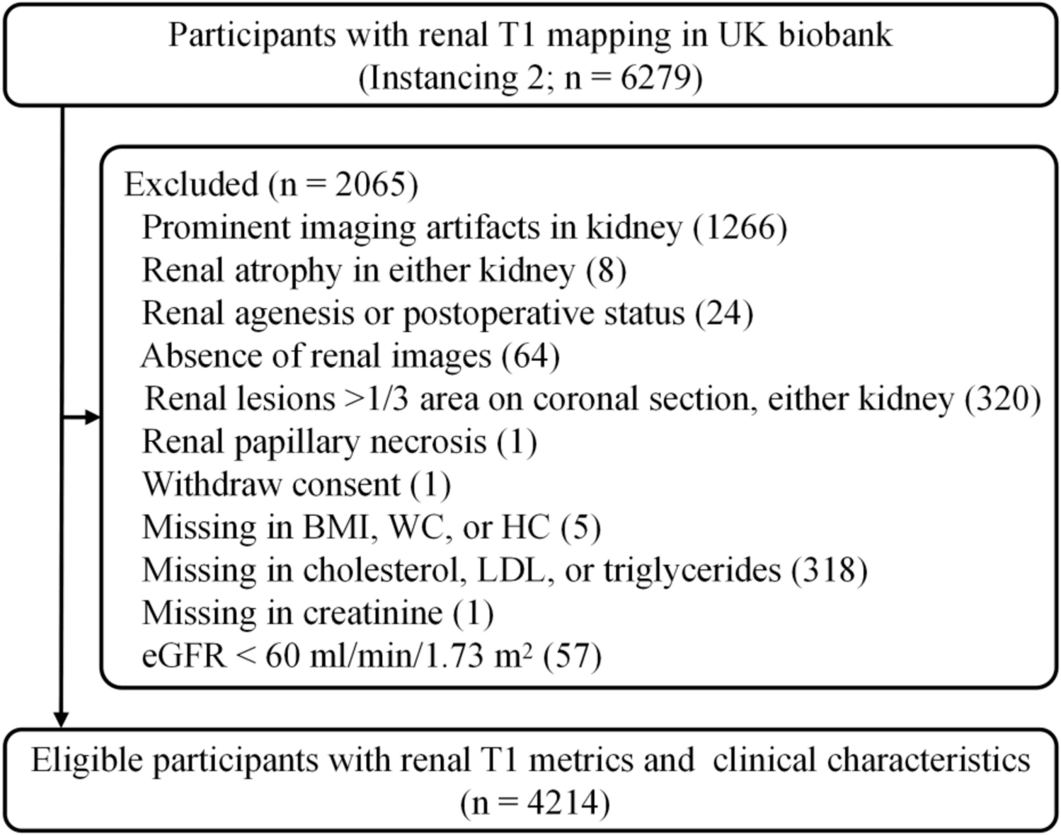 Figure 1 from International Urology and Nephrology
