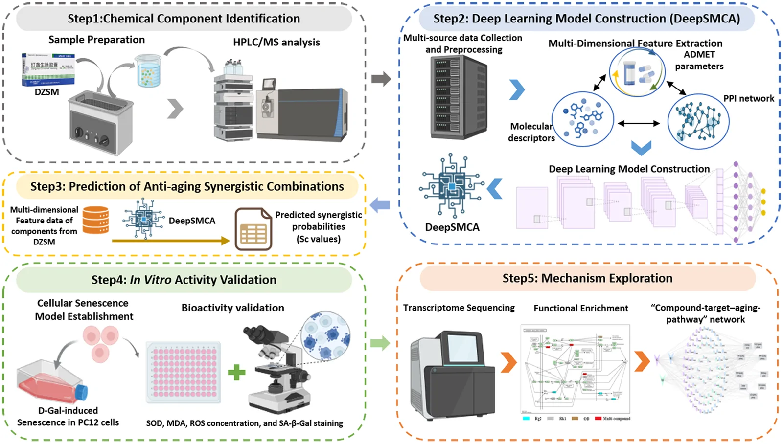 Fig 1. Schematic overview of the integrated workflow for AI-driven identification and experimental validation of synergistic anti-aging compound combinations from the Dengzhan Shengmai (DZSM) formulation.
