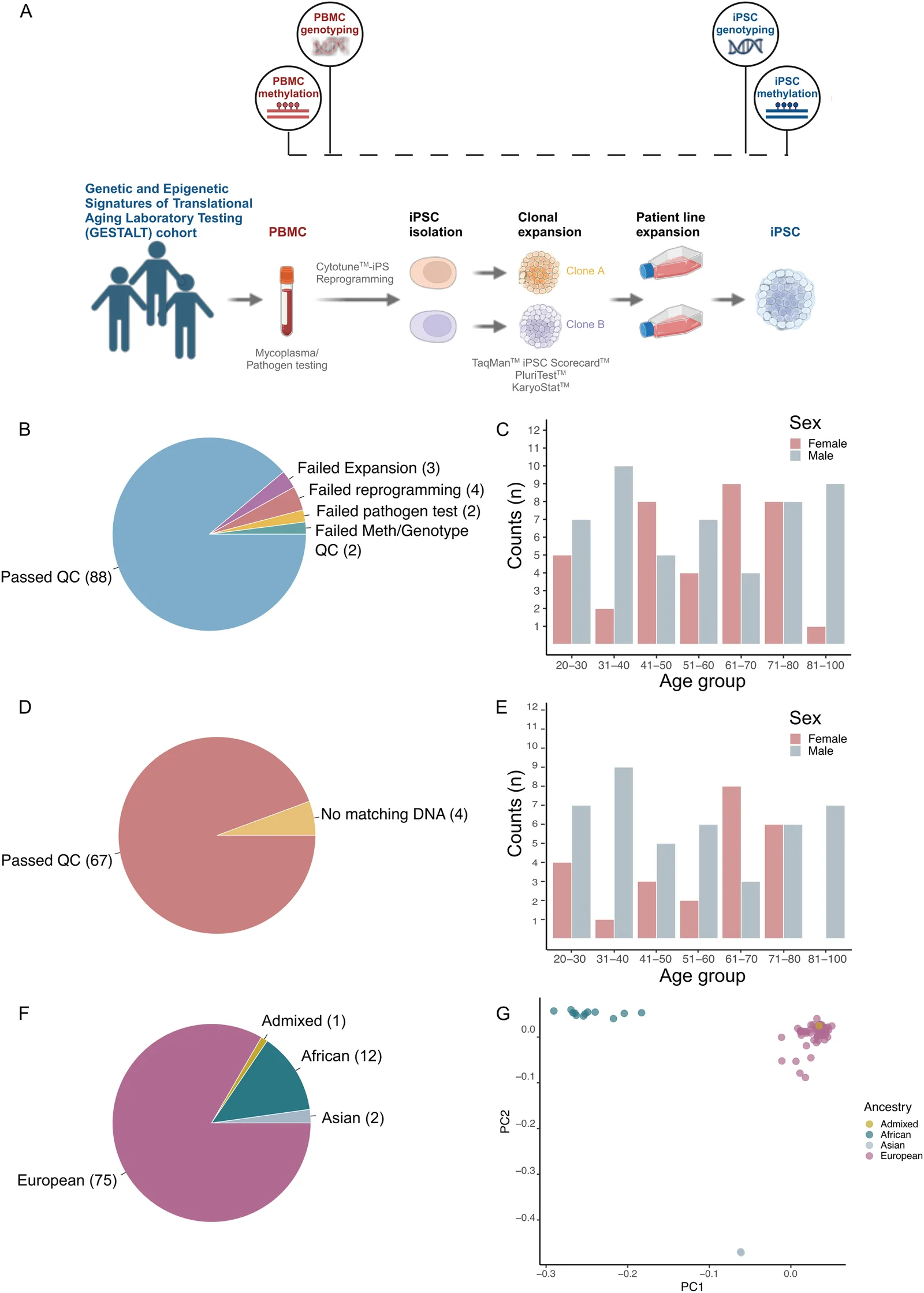 Fig 1. Experimental workflow and sample characteristics in a healthy donor series.