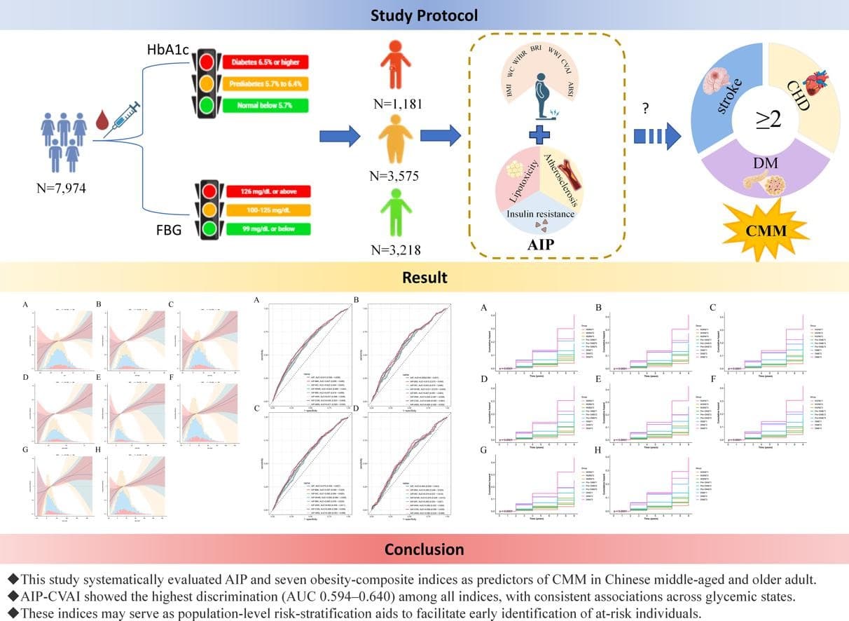 Graphical abstract from Diabetes Research and Clinical Practice