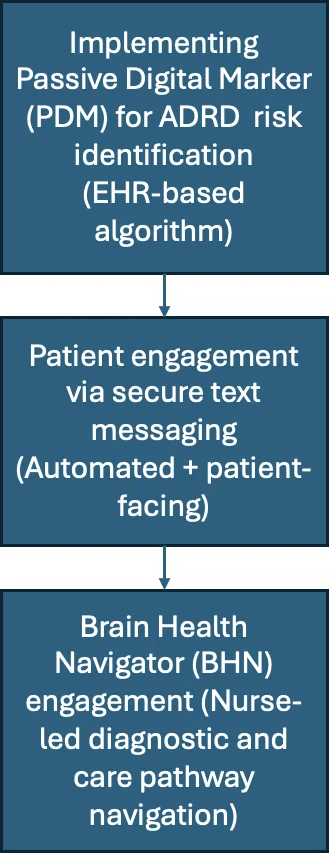 Figure 1. Overall study workflow.