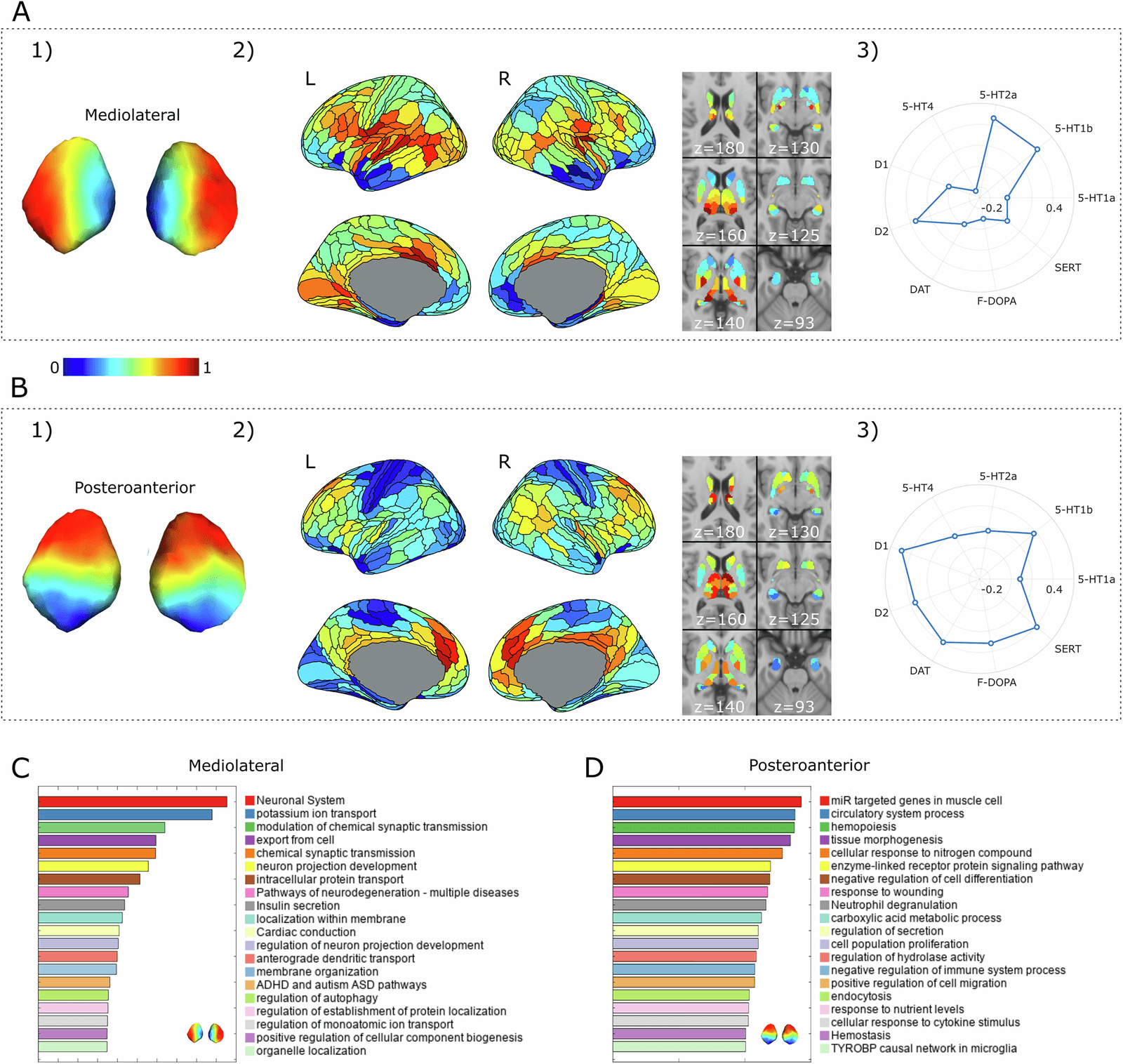 Figure 1 from Molecular Psychiatry