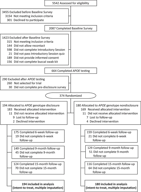 Figure 1. IDEAL study profile illustrating eligibility screening before baseline survey, after completion of baseline survey, and after APOE genotyping.