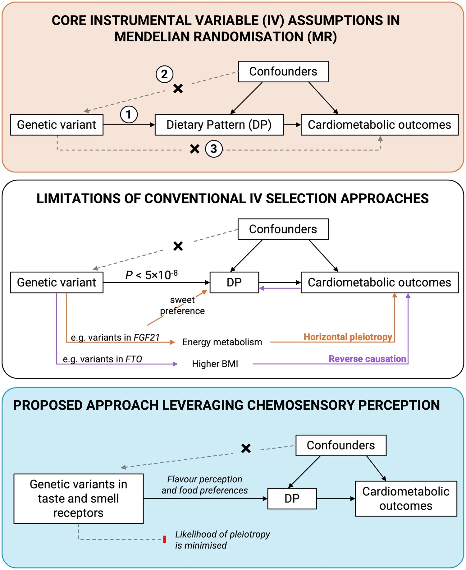 Figure 1. Comparison of instrument-selection strategies for DPs in MR: conventional significance-based methods versus biologically informed approaches based on chemosensory perception.