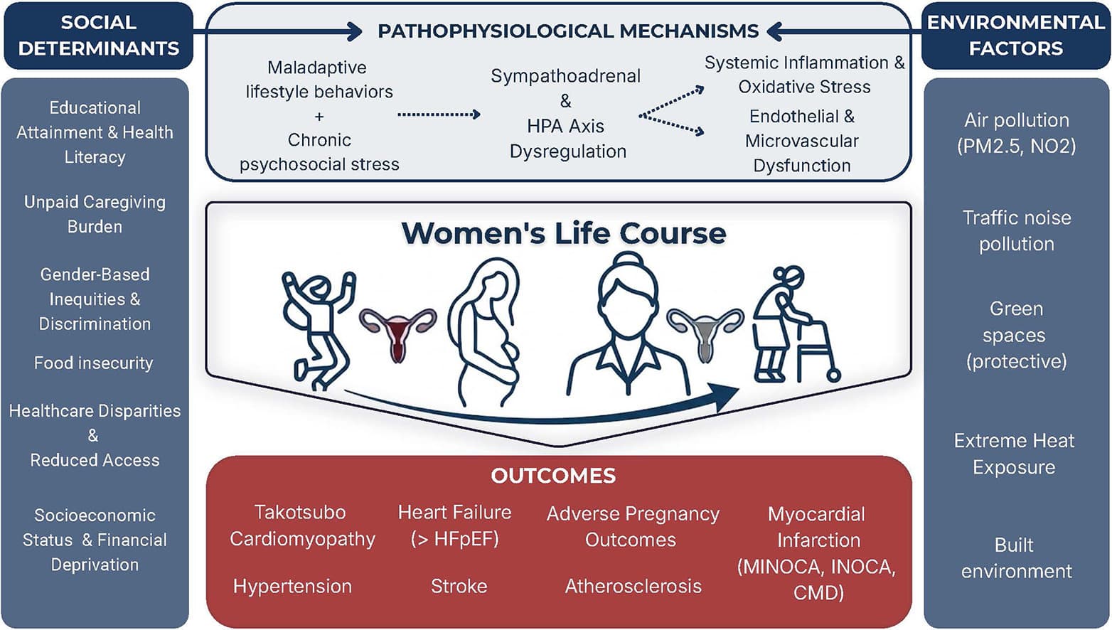Graphical abstract from Current Problems in Cardiology
