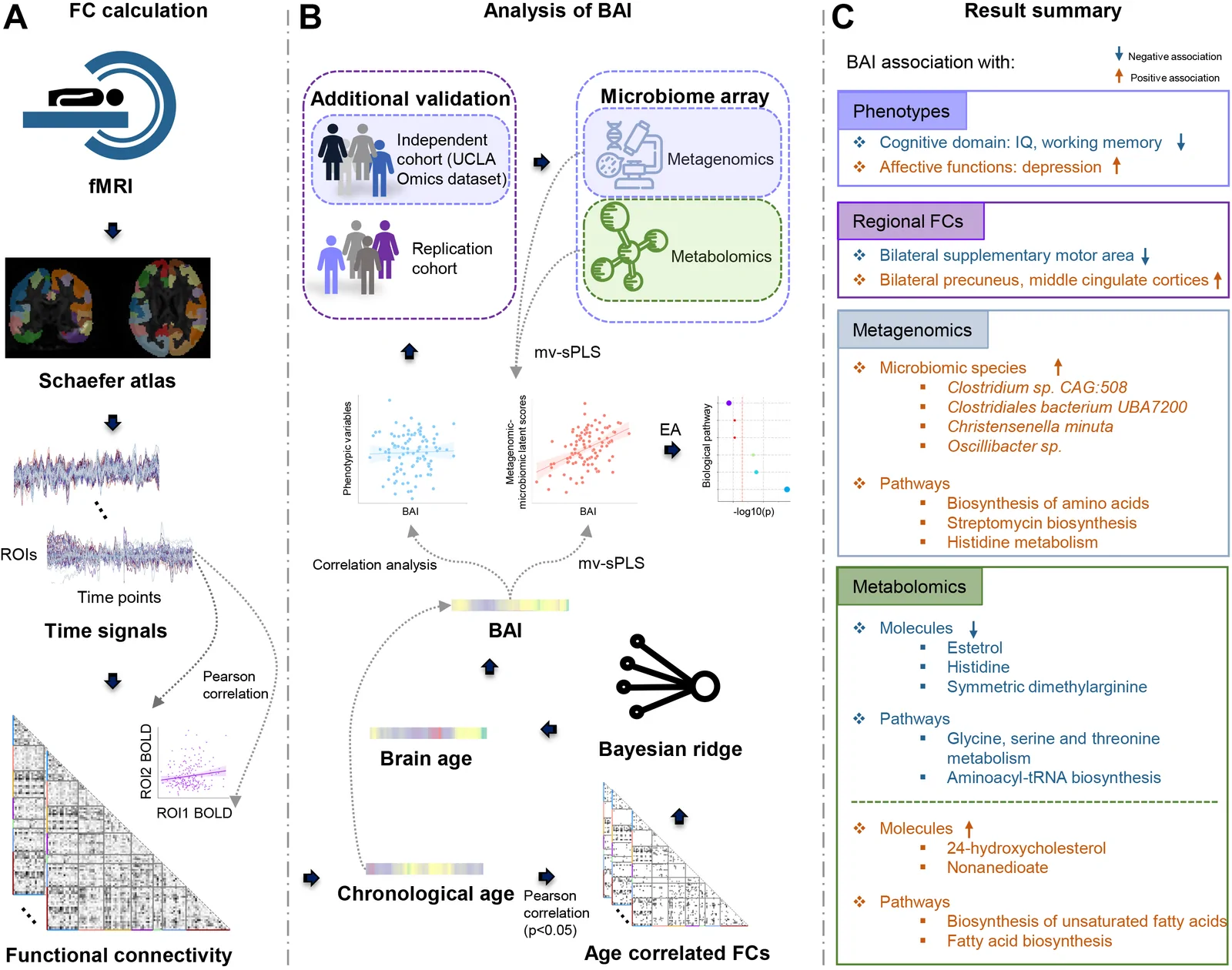 Fig. 1. Study profile. (A) Functional Connectivity (FC) computation.