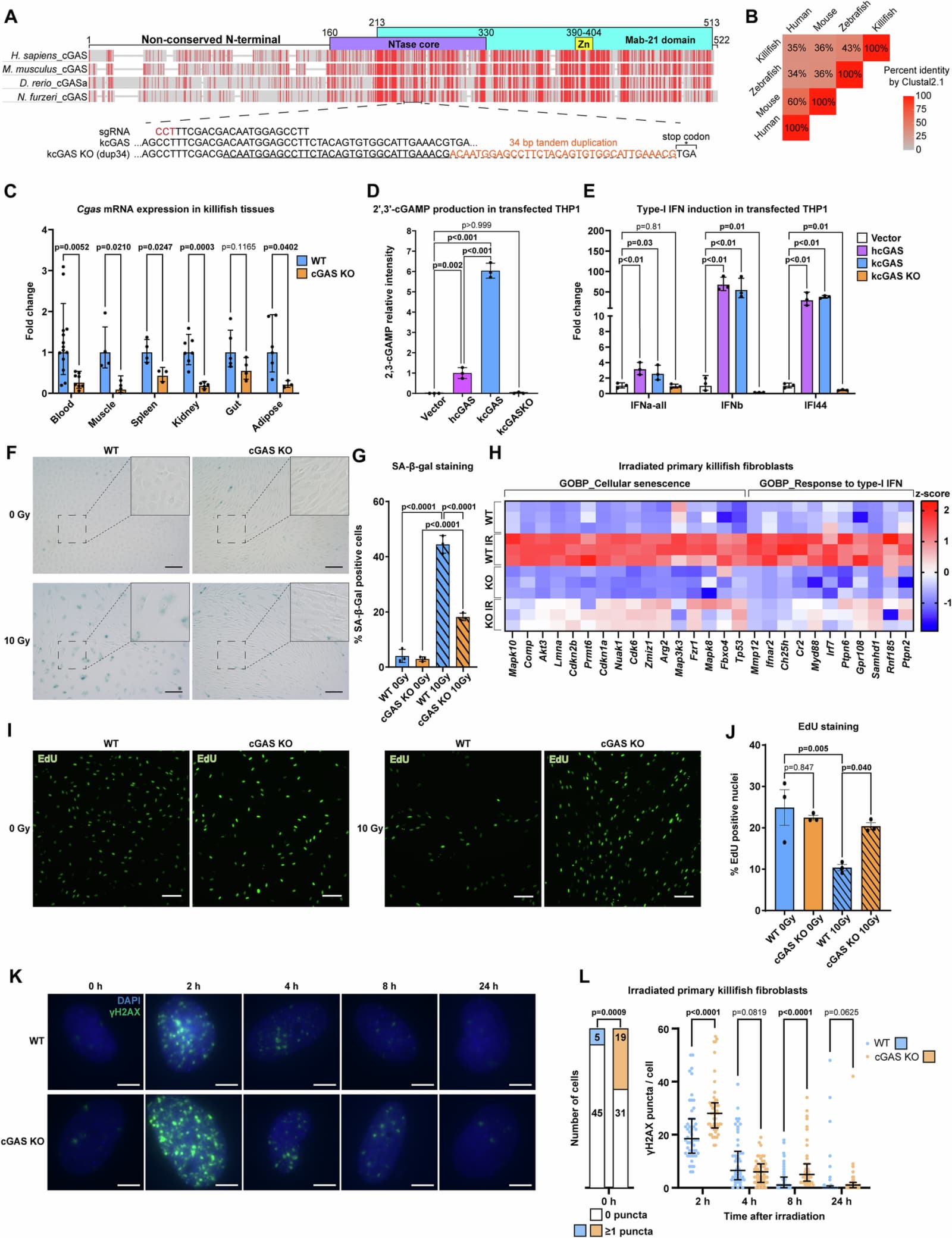 Figure 1 from EMBO Reports