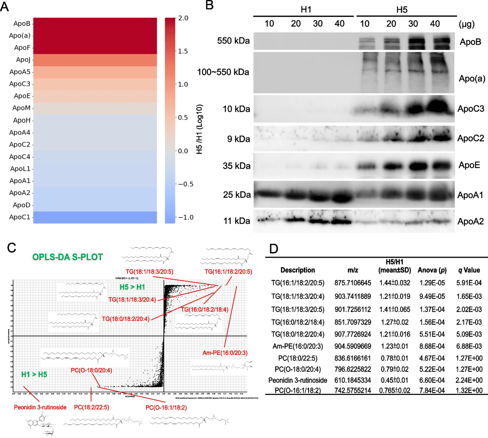 Figure 1 from GeroScience