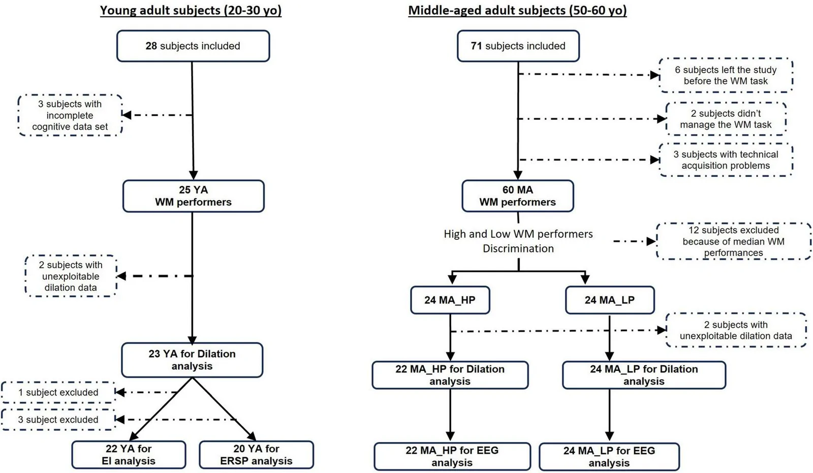 Figure 1. Flow chart of the experiment.
