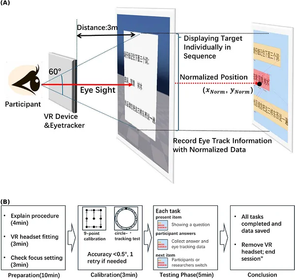 Figure 1. Experimental setup and assessment procedure.
