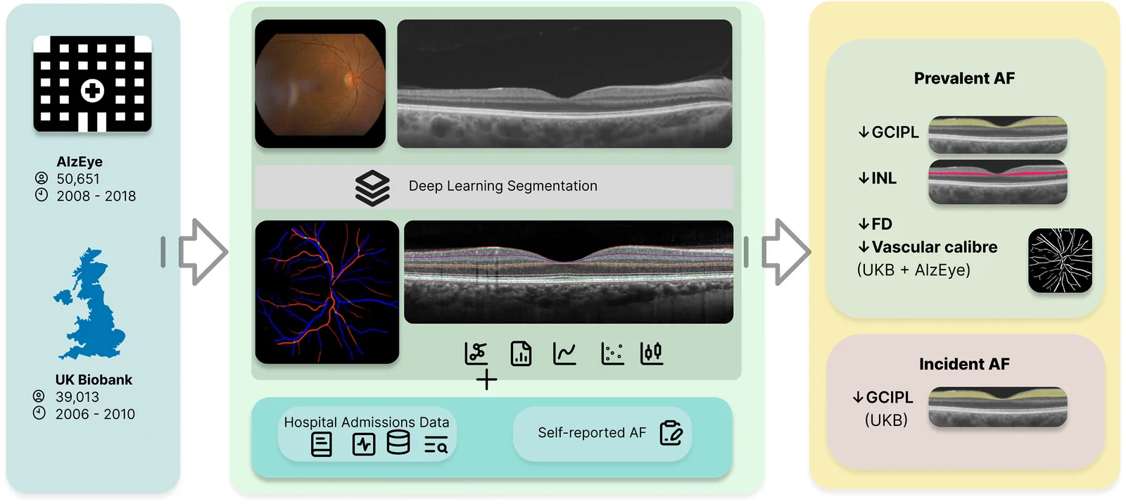 Fig 1. Schematic detailing study design, retinal imaging modalities, and results summary.