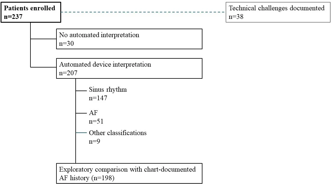 Figure 1. Flow of study participants and analysis populations.