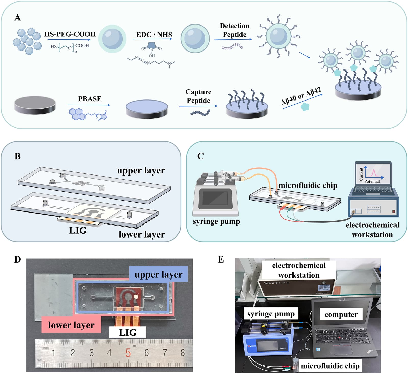 Figure 1 from Biosensors & Bioelectronics