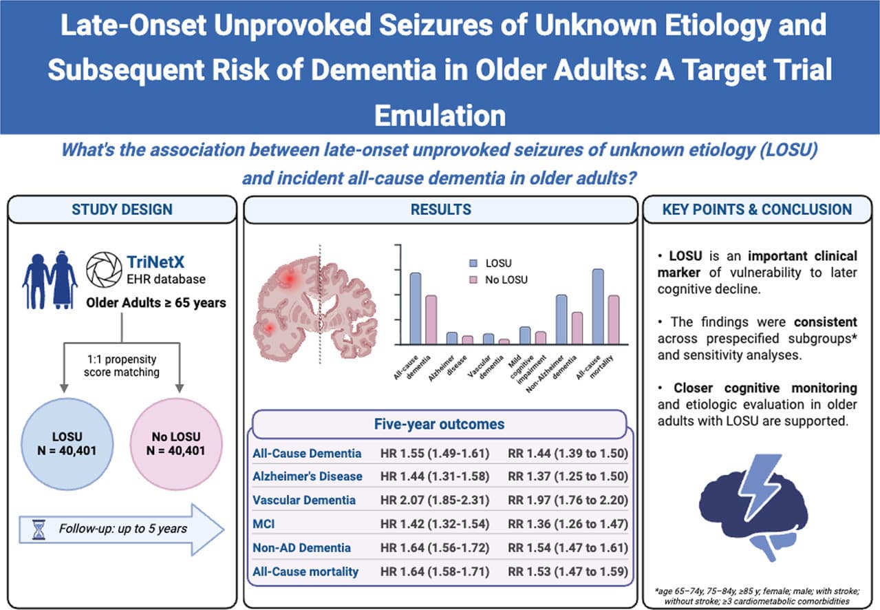 Graphical abstract from Seizure