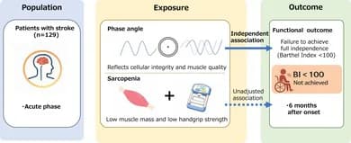 Graphical abstract from Geriatrics & Gerontology International