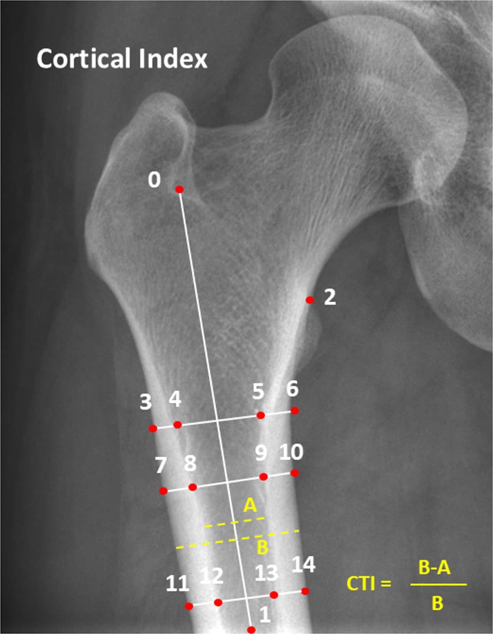 Figure 1 from Journal of Imaging Informatics in Medicine