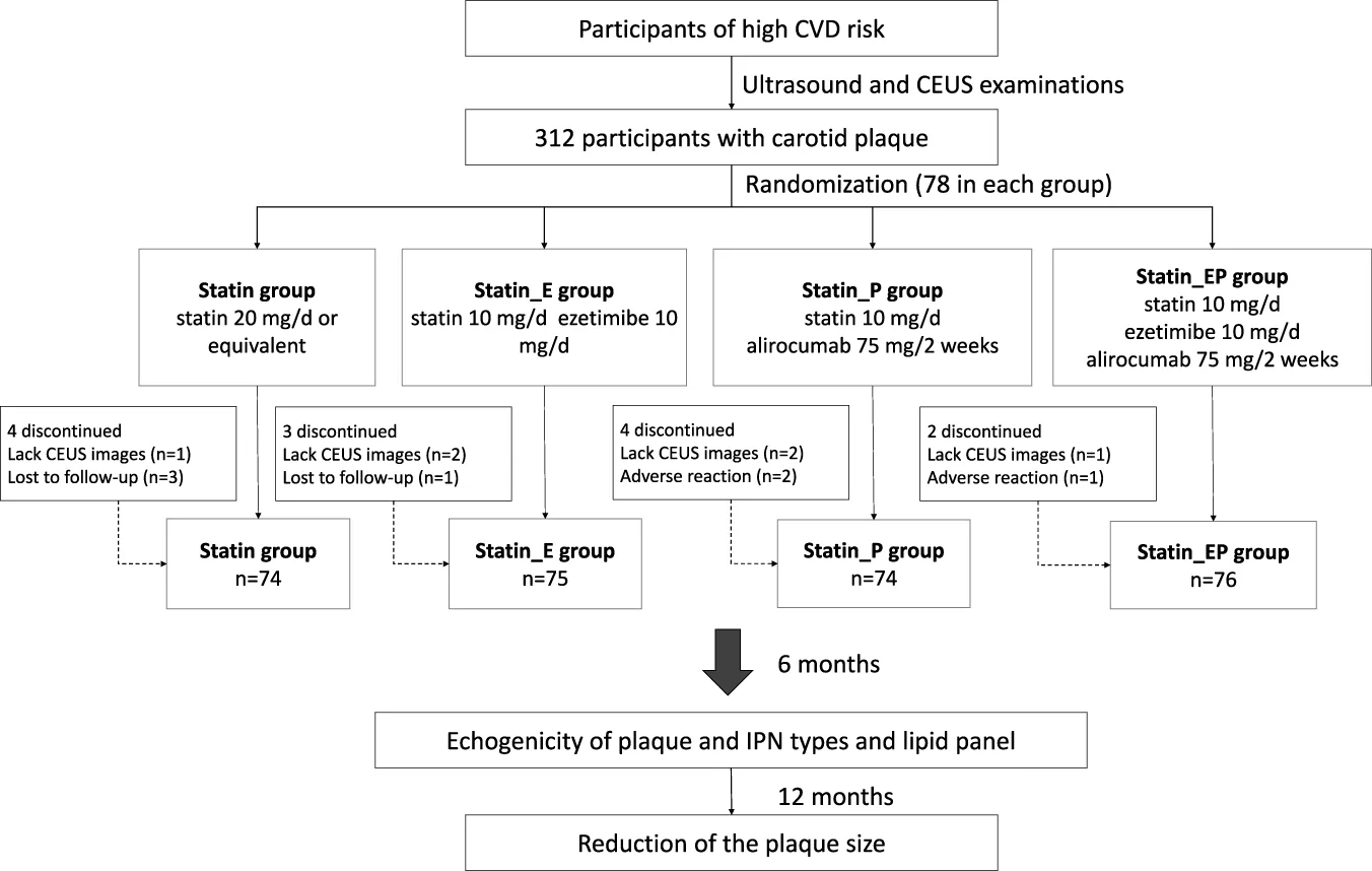 Figure 1. Flowchart of the study.