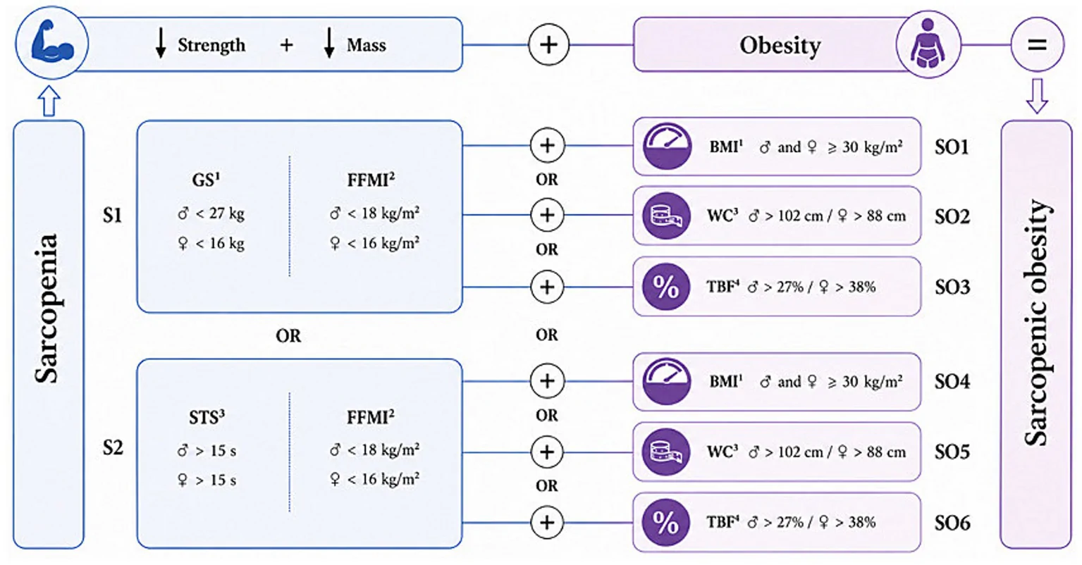 Figure 1. Flowchart of the diagnostic combinations for sarcopenic obesity according to the adiposity and sarcopenia criteria.
