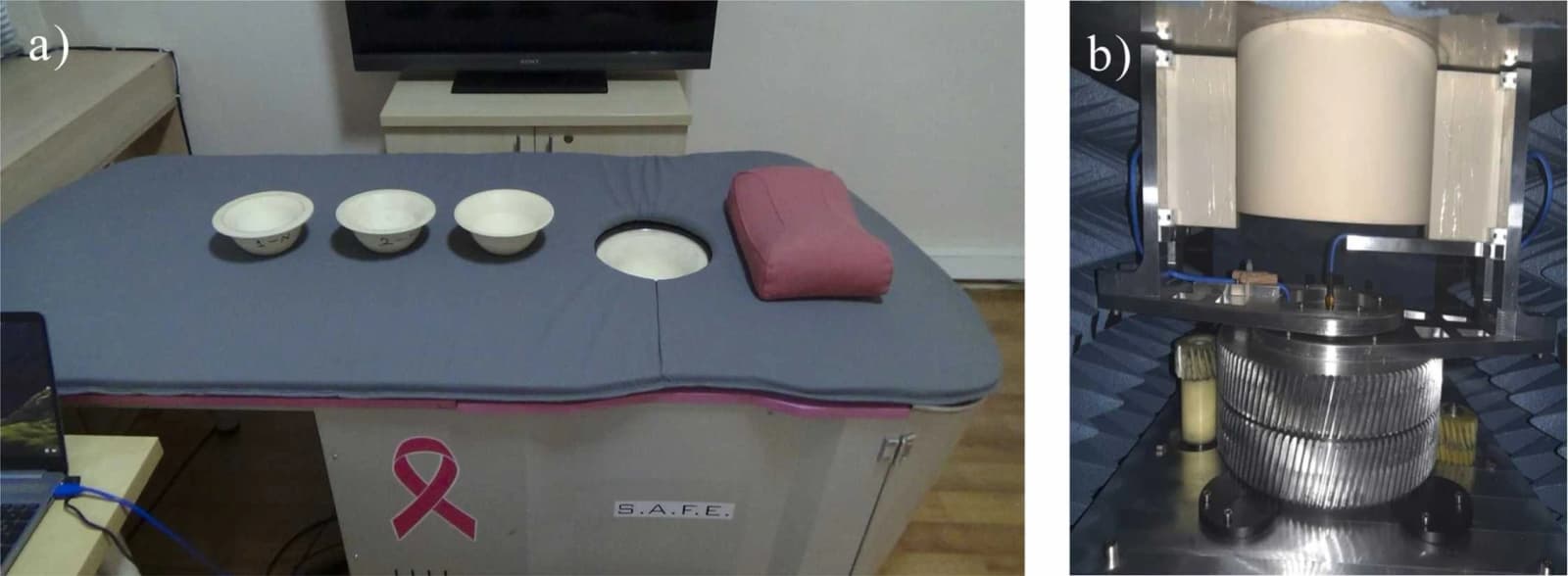 Figure 1 from Academic Radiology
