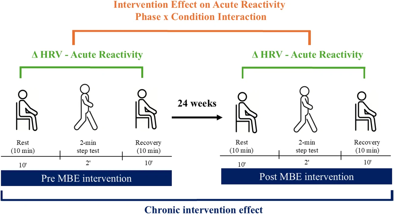 Figure 1. Methodological diagram explaining the acute and chronic effects evaluated from HRV data.