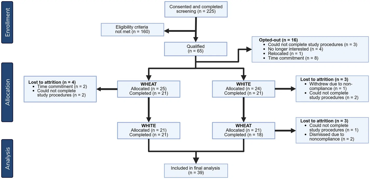 Figure 1. CONSORT diagram illustrating participant flow in a randomized crossover trial evaluating whole wheat and refined white bread consumption on cardiometabolic health in adults with prediabetes.