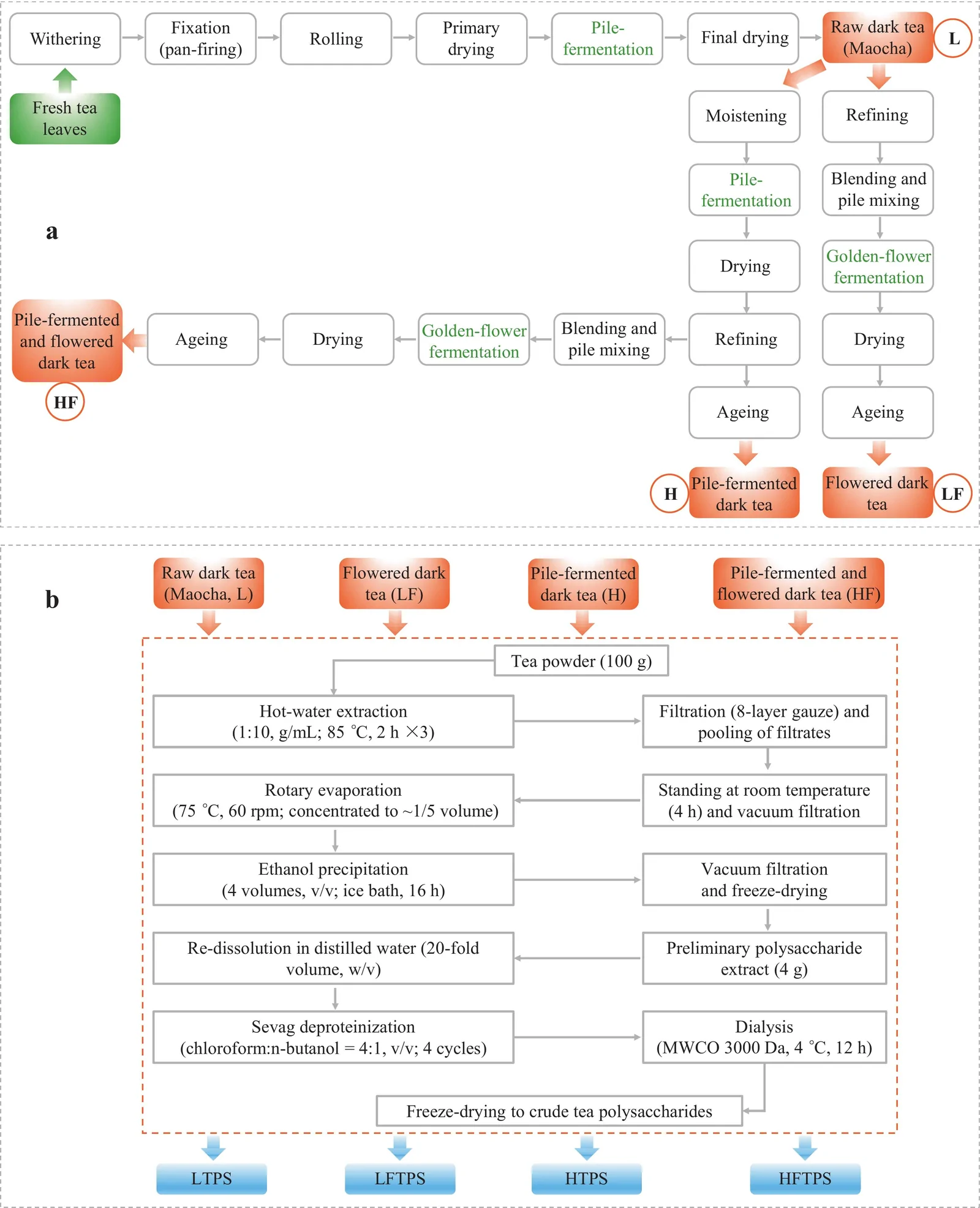 Fig. 1. Processing strategies of four dark teas and extraction procedure of crude polysaccharides.