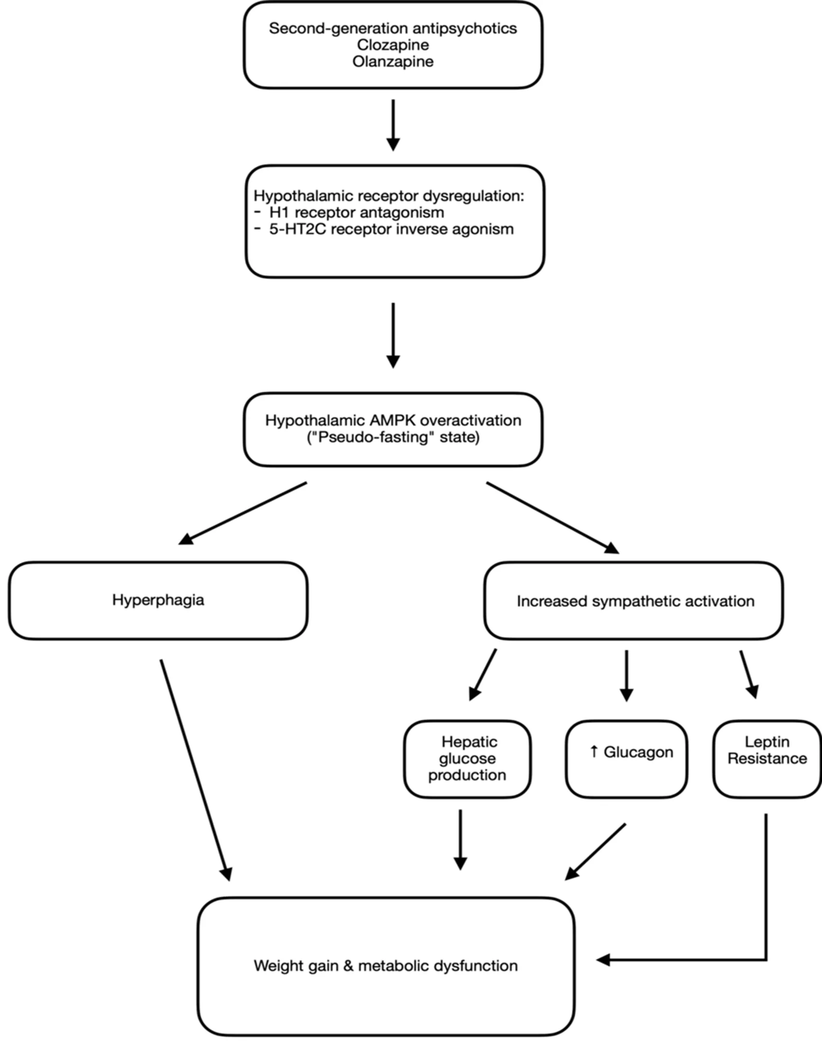 Figure 1. Mechanisms of hypothalamic receptor dysregulation and AMPK activation underlying antipsychotic-induced weight gain.