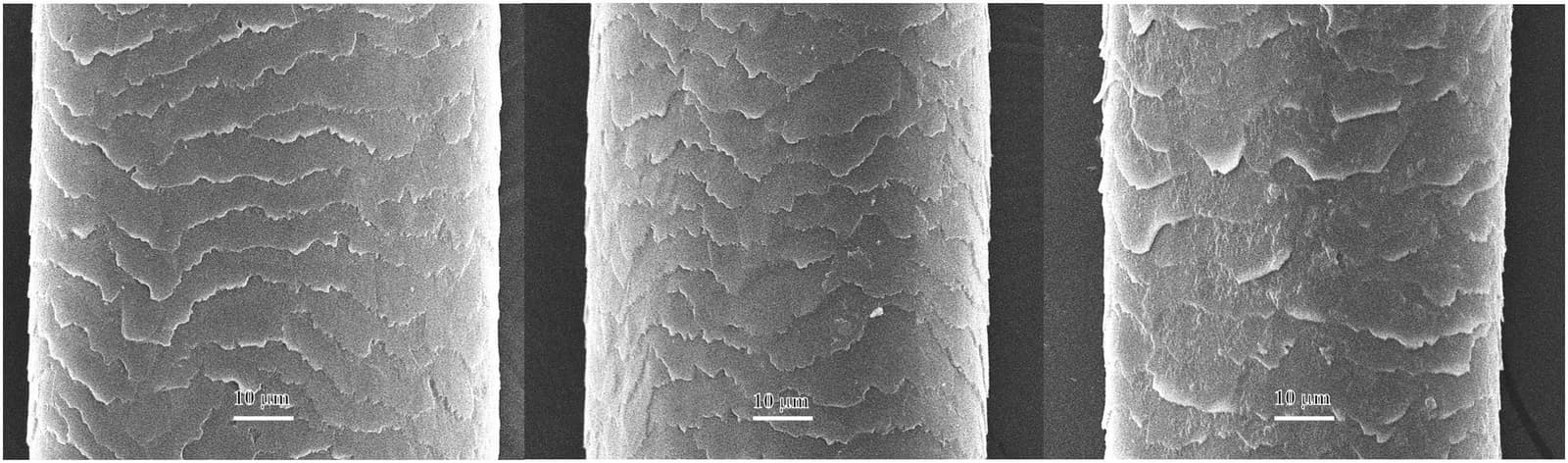 Figure 1 from Colloids and Surfaces B, Biointerfaces