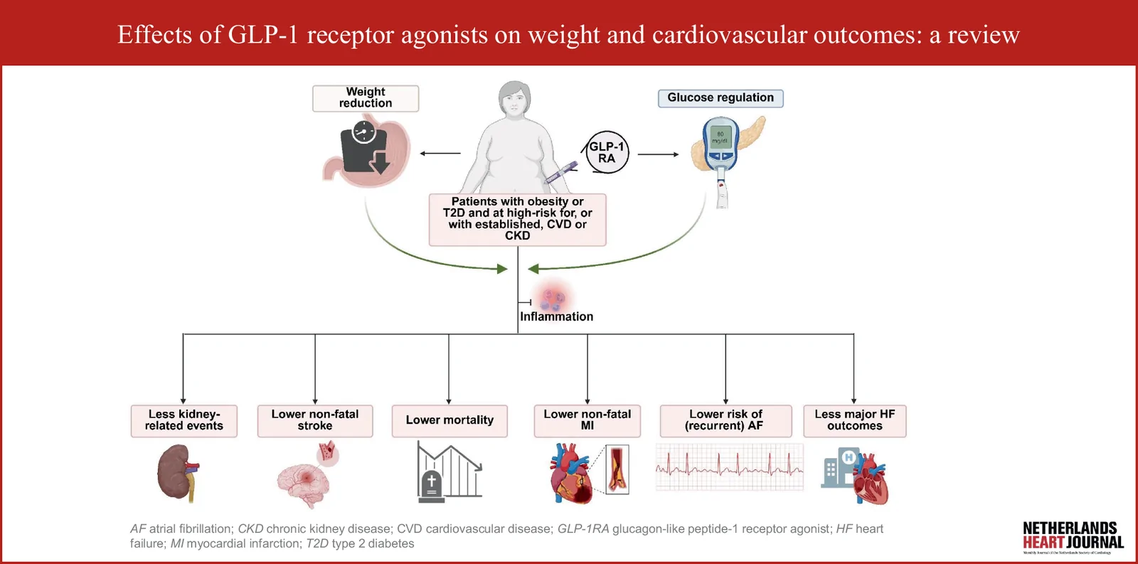 Fig. 1. Infographic of the effects of GLP-1RAs on weight and cardiovascular outcomes