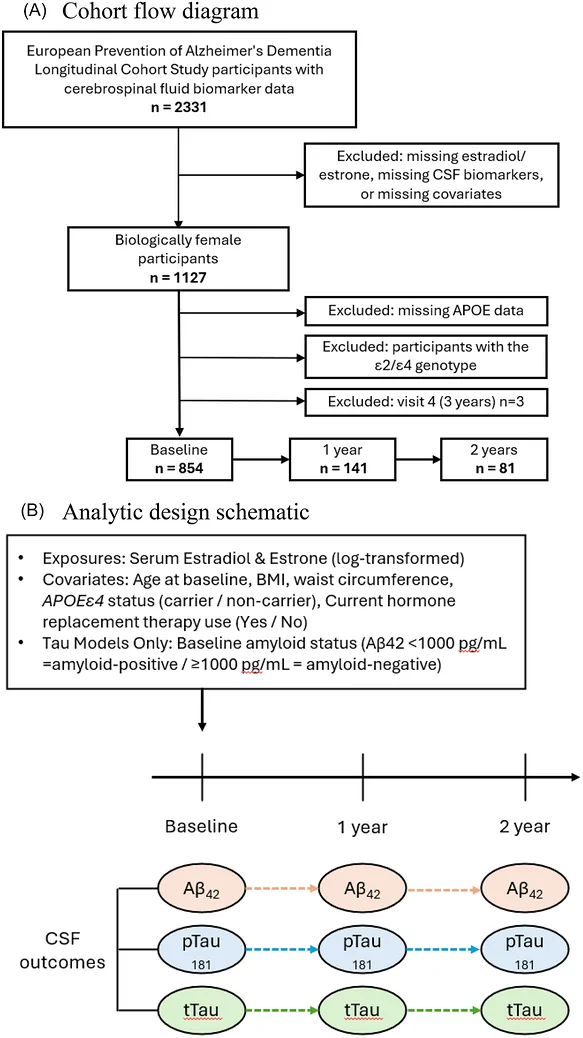 Figure 1. Participant flow diagram and analytic design schematic.