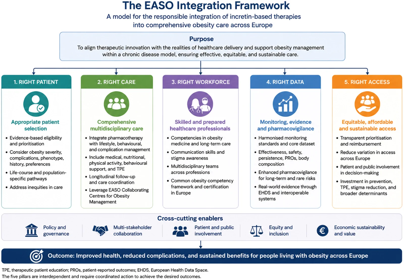 Fig. 1. The EASO Integration Framework for incretin-based therapies.