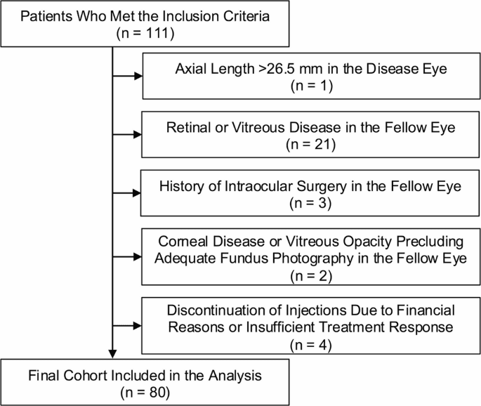 Figure 1 from Graefe's Archive for Clinical and Experimental Ophthalmology