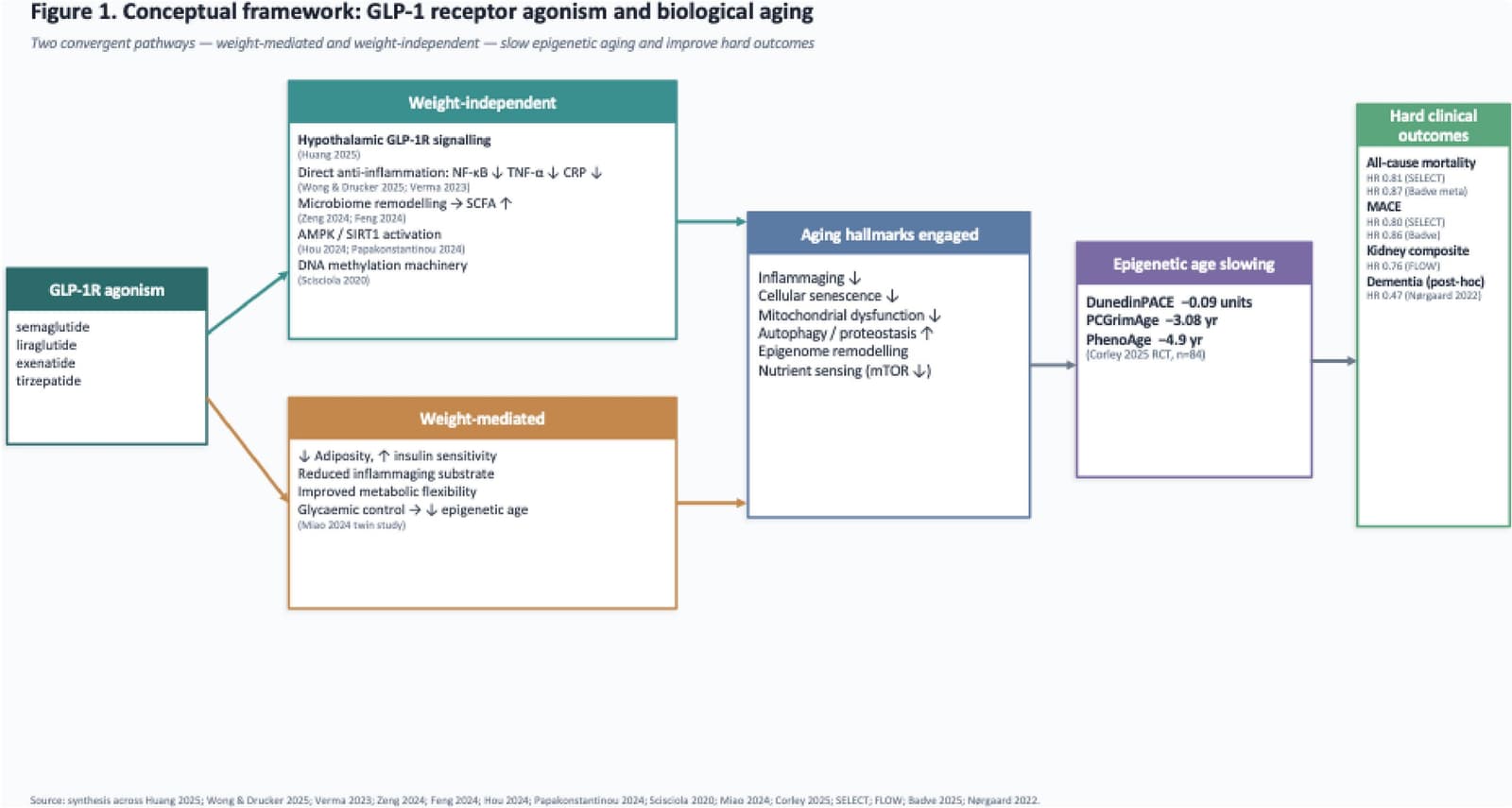 Figure 1 from Experimental Gerontology